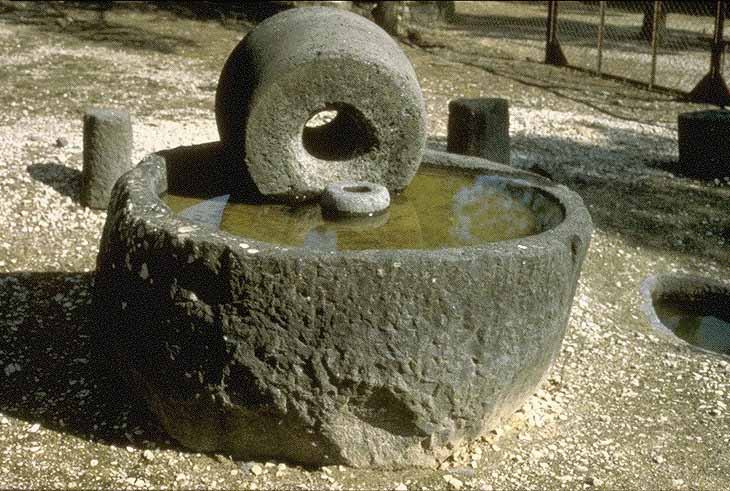 2000 year old olive press